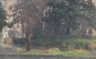 天气预报浦东，天气预报浦东三林