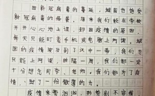 全国疫情肺炎疫情的作文-全国疫情作文800字？
