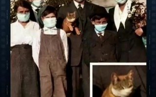 西班牙政府对待疫情_西班牙受疫情影响