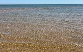 沈阳8月4日天气预报_沈阳市8月2日天气预报