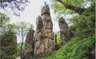 凤县天气预报-太白县天气预报？