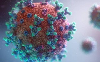 新疆疫情病毒测序-新疆疫情病毒测序结果？