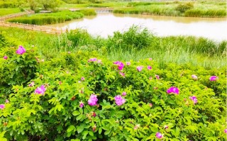 兰州市西固区天气预报_兰州市西固区天气温度