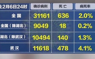 武汉疫情是如何_武汉疫情怎么扩散的