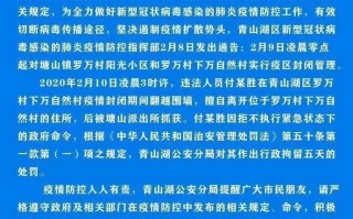 如何定性疫情国，什么是疫情国
