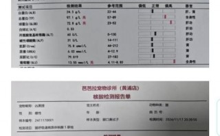 呼和浩特市疫情最新-呼和浩特市疫情最新情况？