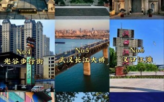 武汉外城市疫情-武汉市新增境外输入病例？