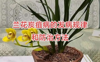 山东滨州疫情27日疫情_山东滨州新冠肺炎疫情