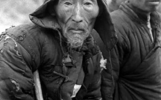 河南抗击疫情专题_河南抗疫2021