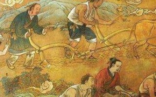 山西发生禽流感疫情-山西禽流感最新消息2020年爆发地区？