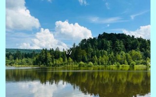 伊春五营天气预报，伊春·五营天气