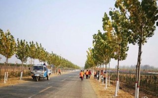 河北威县疫情情况_河北威县是疫区吗