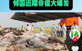 近来中国非洲猪瘟疫情-中国非洲猪瘟疫情来源于哪里?为何仍不断增长?官方回应？