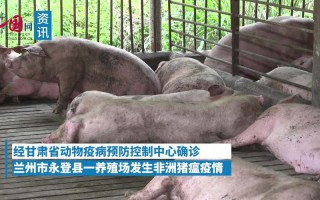 猪瘟疫情最新消息江苏_江苏猪瘟疫情2021