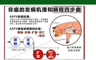 疫情对非洲经济，疫情对非洲国家的影响