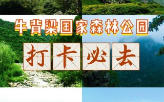 牛背梁天气预报_牛背梁天气预报最新