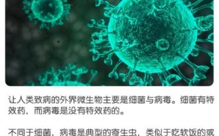 今年疫情的来源_今年疫情的来源是什么