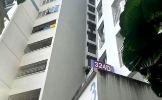 新加坡疫情最新今日，新加坡疫情最新实时数据