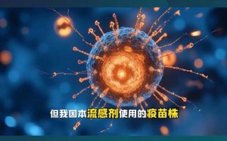 看看全国的疫情_搜一下全国的疫情情况