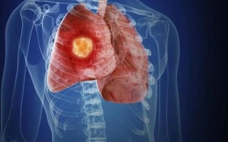 关于疫情源头的-疫情的源头作文？