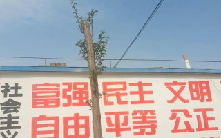 国家今日疫情通告-国家今日疫情通报？