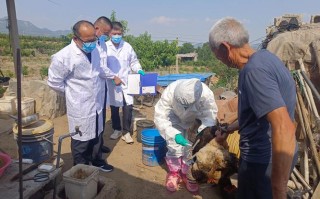 动物疫情疫情监测工作，动物疫情核查制度