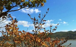 汪清县天气预报，吉林省延吉市汪清县天气预报