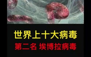 2014埃博拉疫情_2014埃博拉疫情知乎