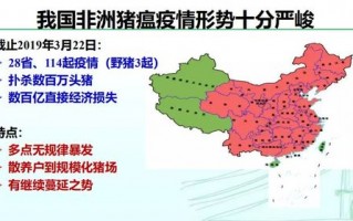 湖北黄冈猪瘟疫情症状，湖北黄冈猪瘟疫情症状最新消息