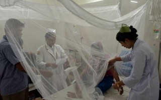 泰国登革热疫情2017-泰国登革热疫情最新消息？