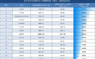 疫情过后武汉政策_疫情过后武汉政策调整