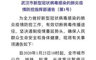武汉为何有疫情_武汉为什么还有新增病例