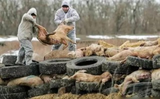 新疆疫情最新疑似，新疆疫情病例最新消息