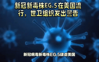 几个国家没有疫情-那国家没有疫情？