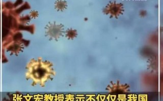 全国疫情实时跟踪_全国疫情实时数据更新