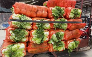 怎样向疫情捐钱_如何向疫情灾区捐款