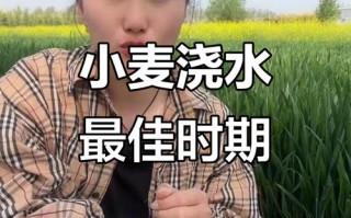 天气预报行唐_天气预报行唐小时