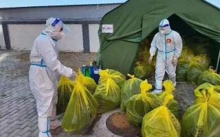 新疆疫情的根源-新疆疫情从何而来？