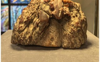 公司疫情俄罗斯疫情-俄罗斯疫情病例？