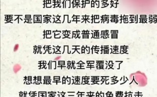 中国疫情获得的_中国疫情取得好成绩