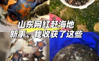 海门市天气预报-海门市天气预报24小时查询表格下载？
