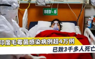 印度政府疫情评价_印度政府疫情评价如何
