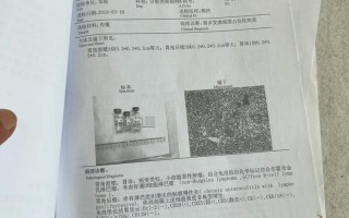 天津最新疫情今日的疫情-天津最新疫情状况？