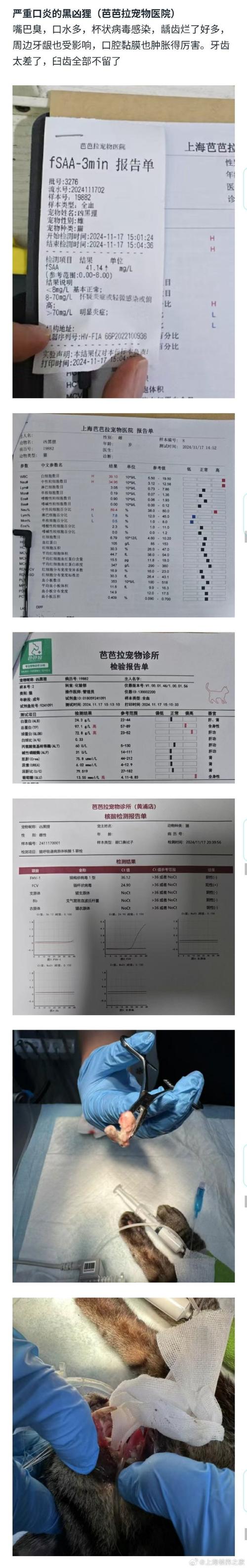 呼和浩特市疫情最新-呼和浩特市疫情最新情况？-第1张图片-德宏生活网