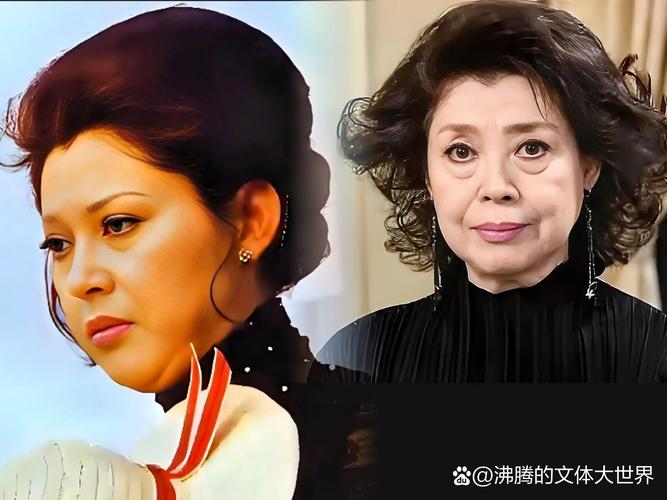 日本钻石号游轮疫情来源-日本钻石号游轮疫情是怎么回事？-第2张图片-德宏生活网