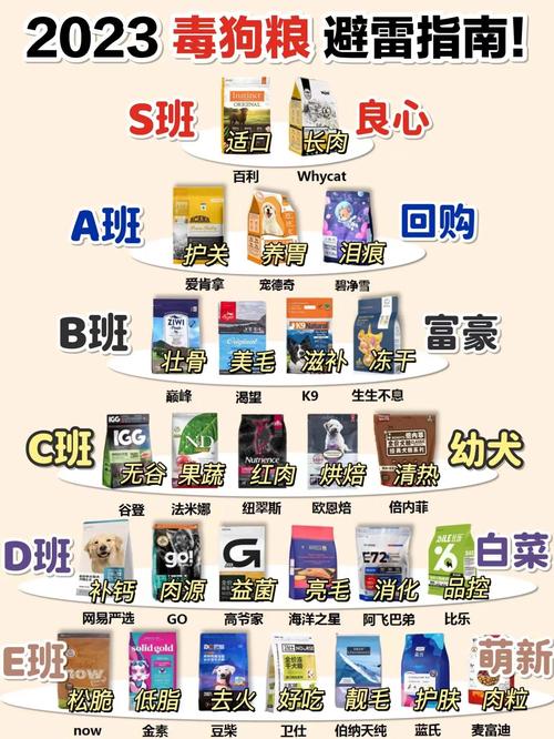 现在爱尔兰疫情怎样-爱尔兰疫情最新政策？-第1张图片-德宏生活网