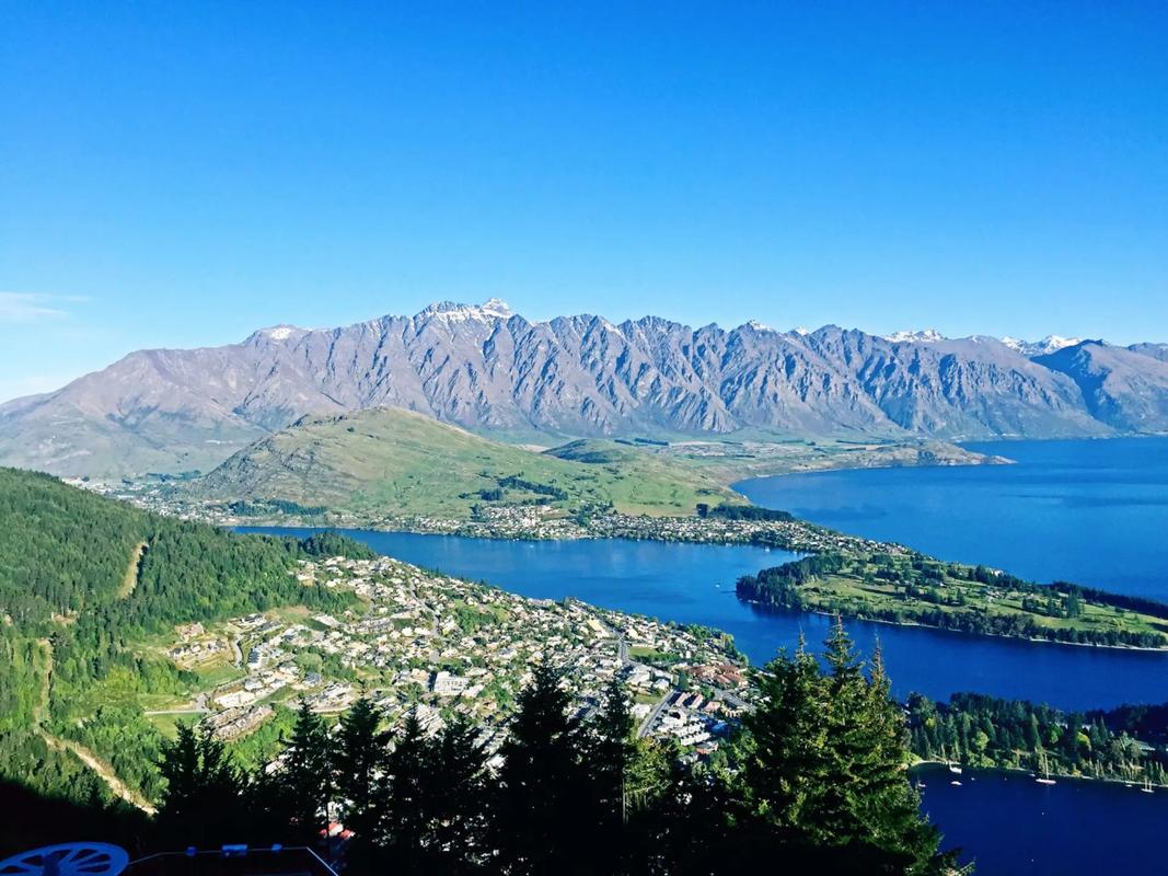 最新疫情数据新西兰，新西兰疫情最新数据实时更新-第3张图片-德宏生活网