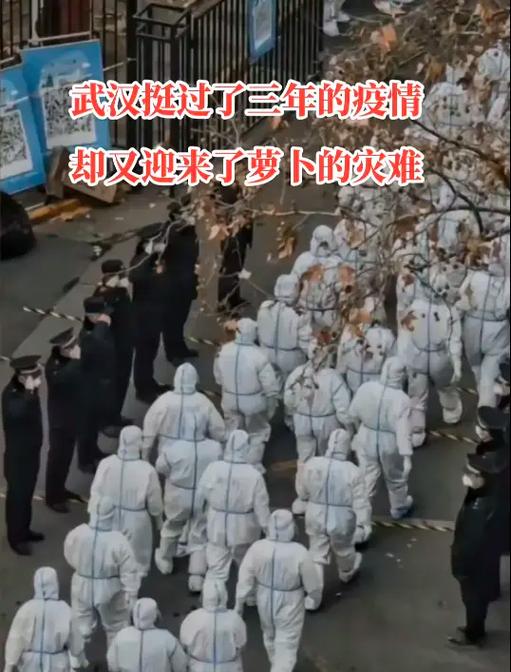 2021年疫情期间-2021年疫情期间信用卡还不上怎么办？-第5张图片-德宏生活网