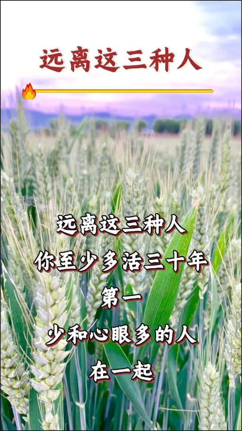 疫情后的你疫情后的别人，疫情之后的我-第2张图片-德宏生活网