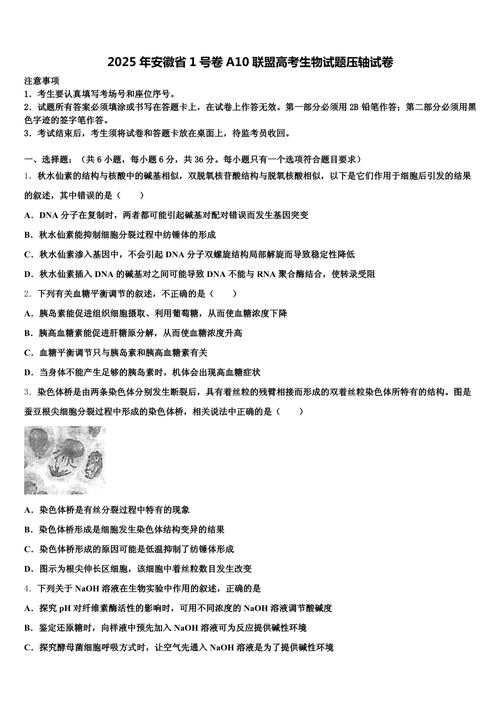 2025九月实时政事_2020时政热点汇总9月-第4张图片-德宏生活网